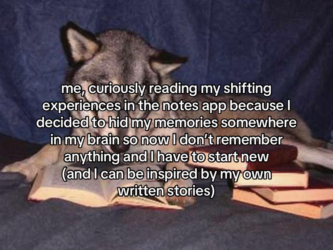 @corvus