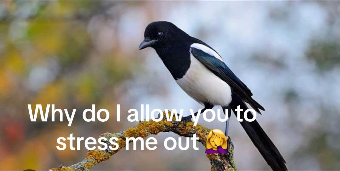@Lisa