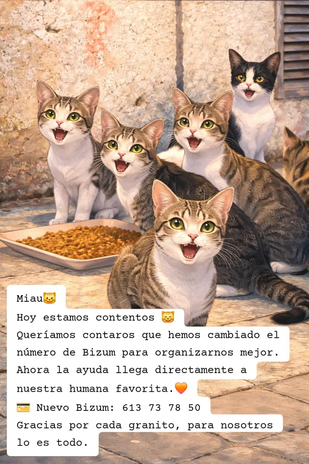 @garritasespaciales