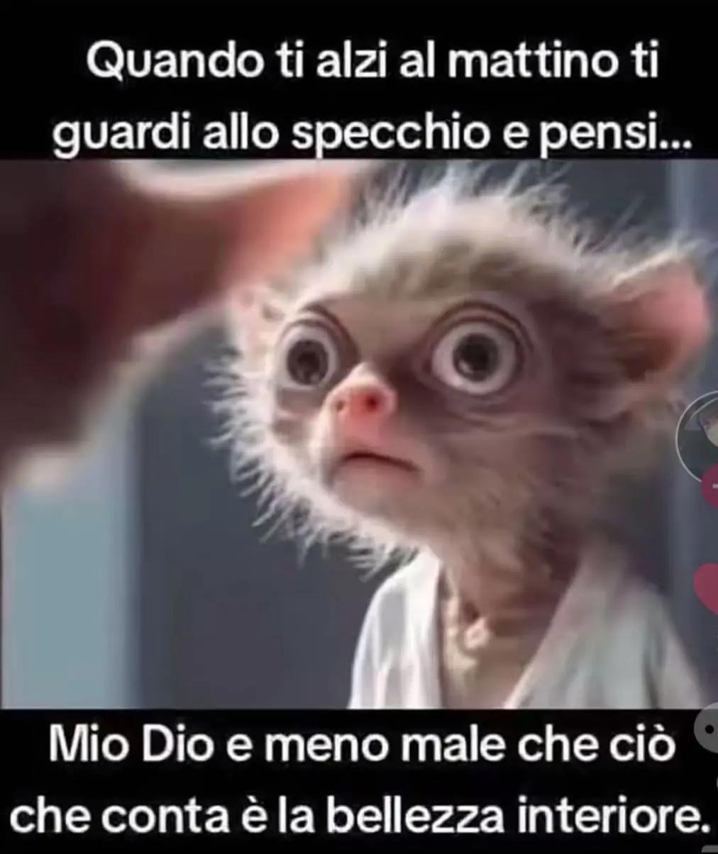 @CiRuZza.