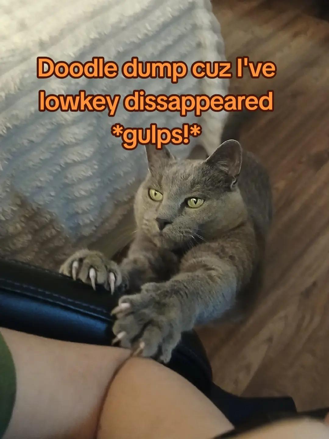 @Wowzers