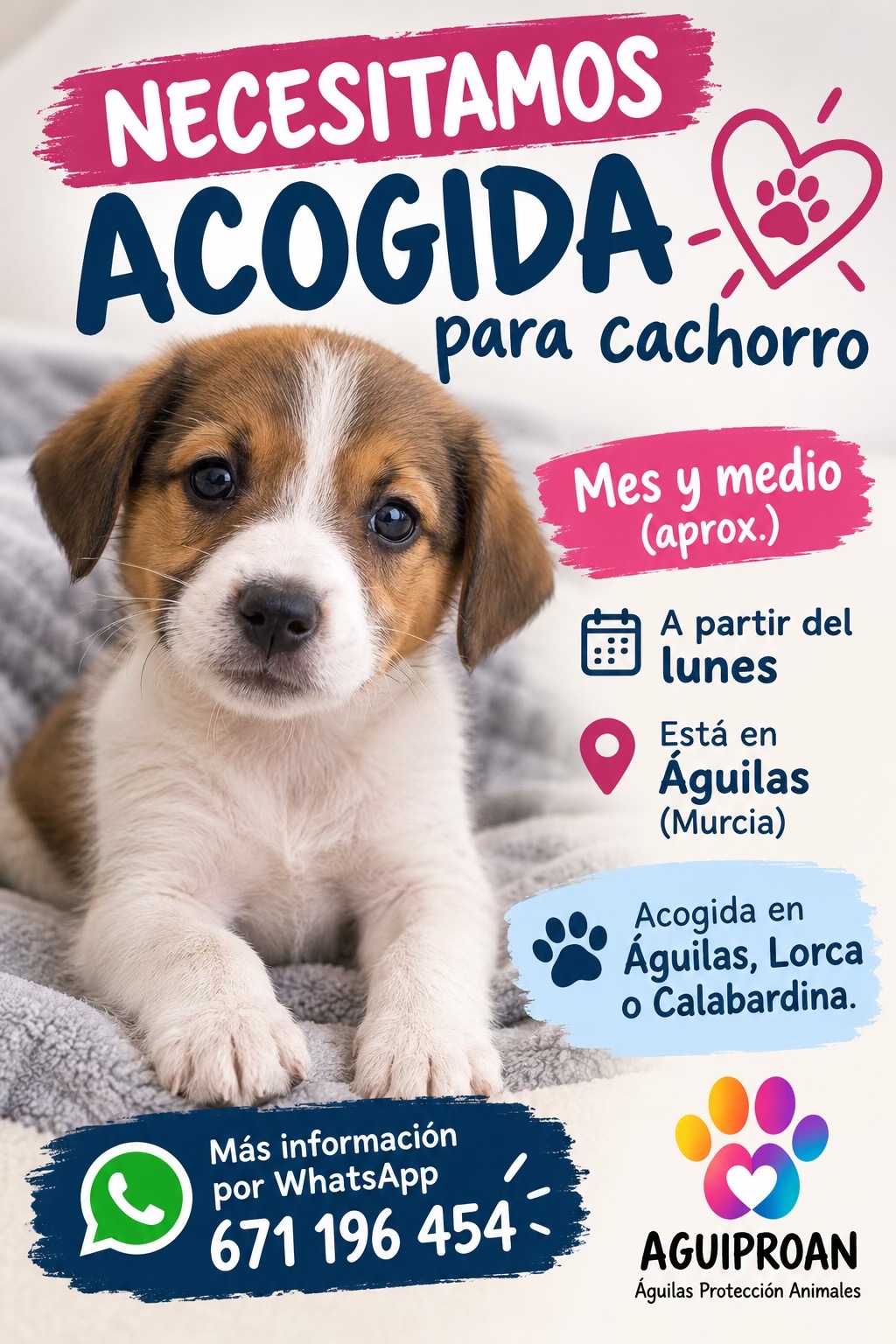 @aguiproan_protectora