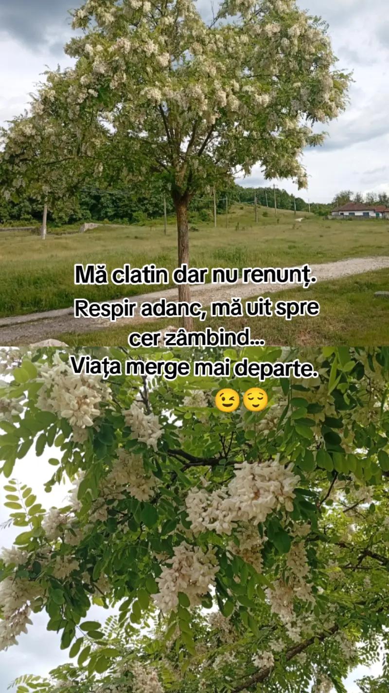 @Alina ๐๐ค๐๐