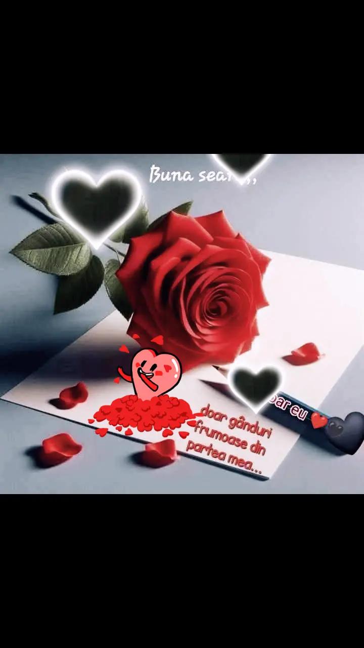@Nicolae Iamandi Marin