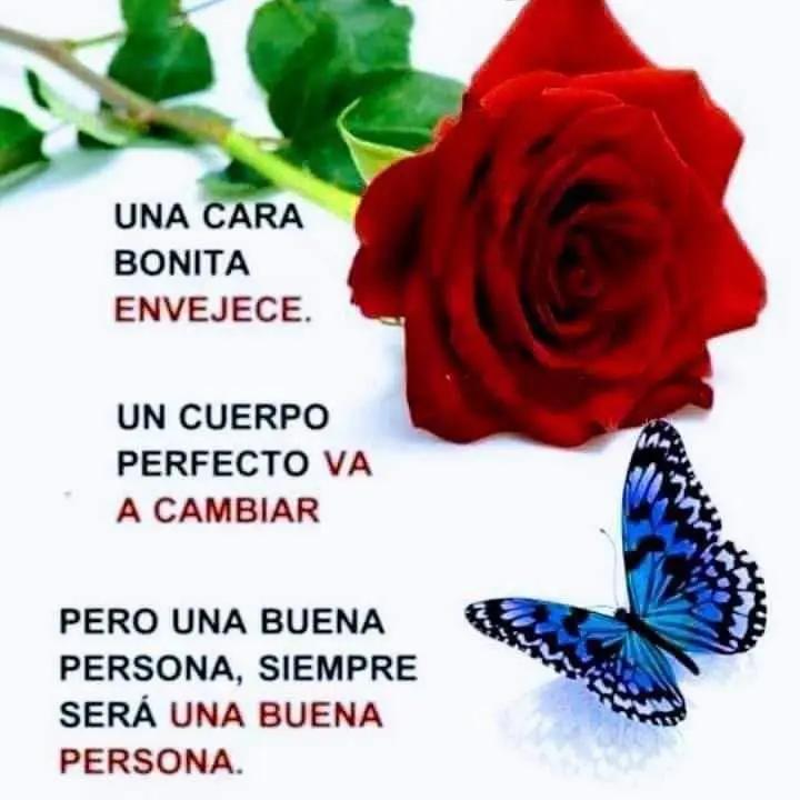 @Loli loli