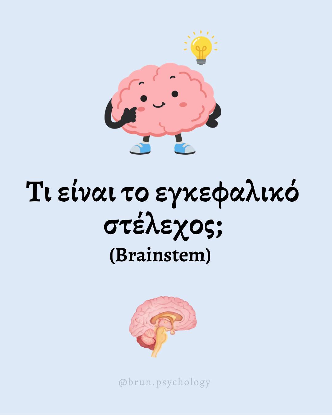 @Emanuela Brun 🫀