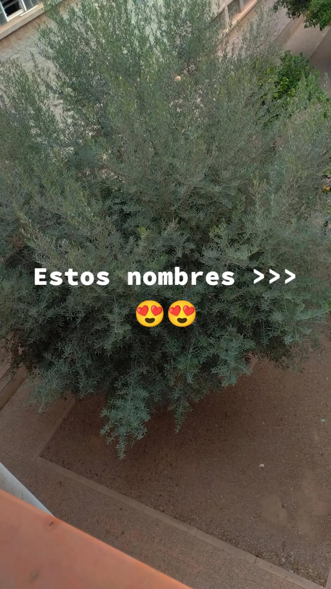@siiihaamm
