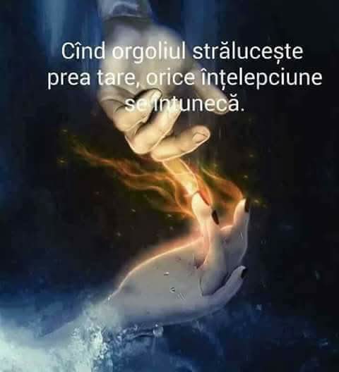 @Iuliana Iosub406