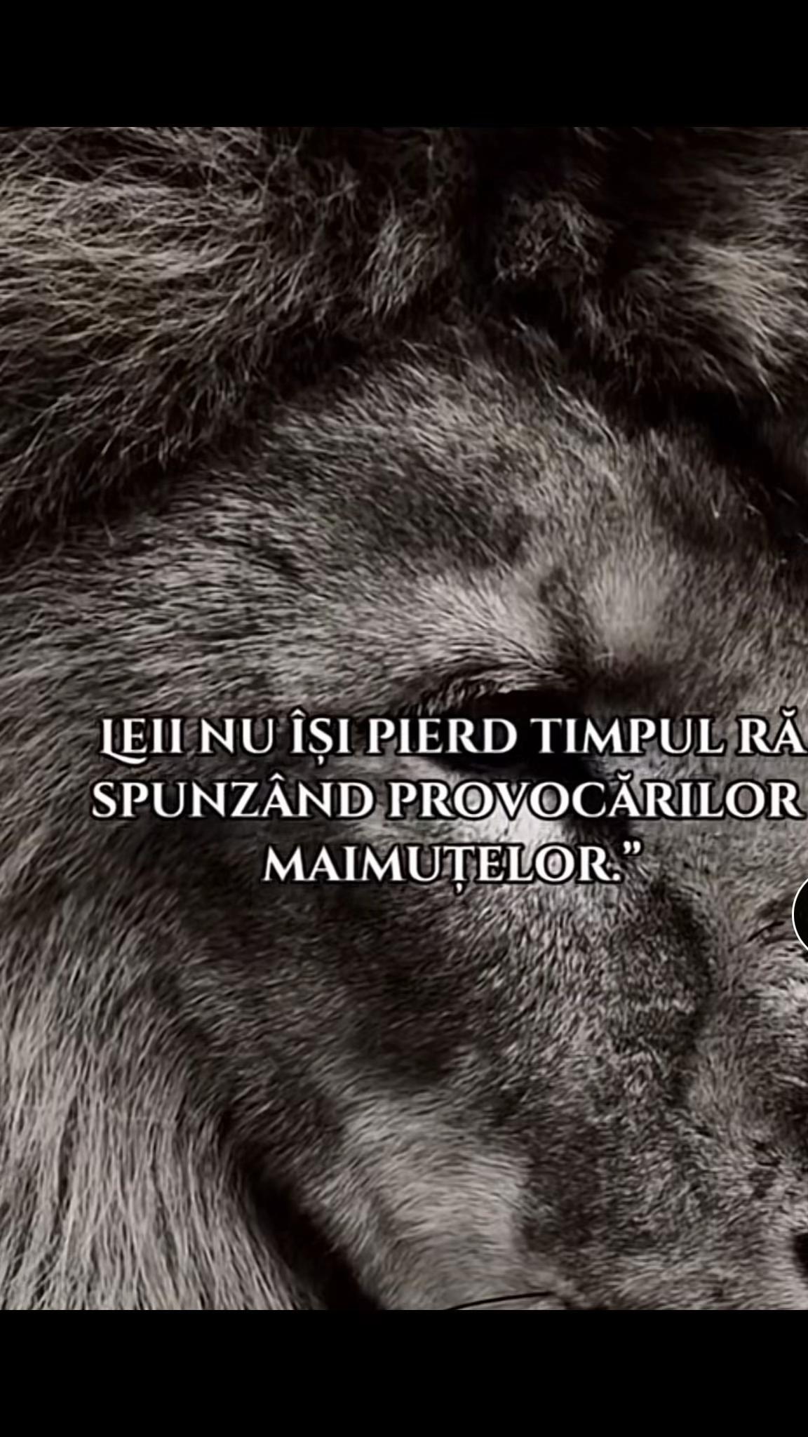 @Dany👏🏻👏🏻👏🏻🫸🏻