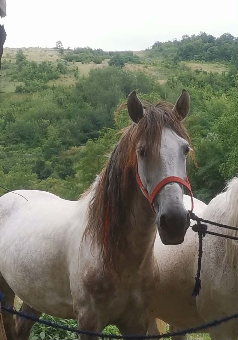 @Sebi Lazăr
