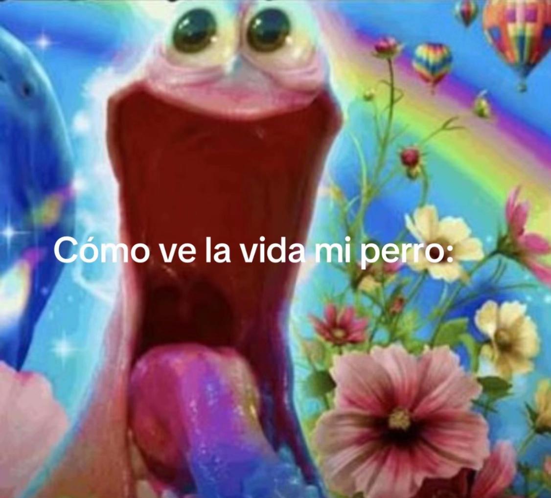 @alioli