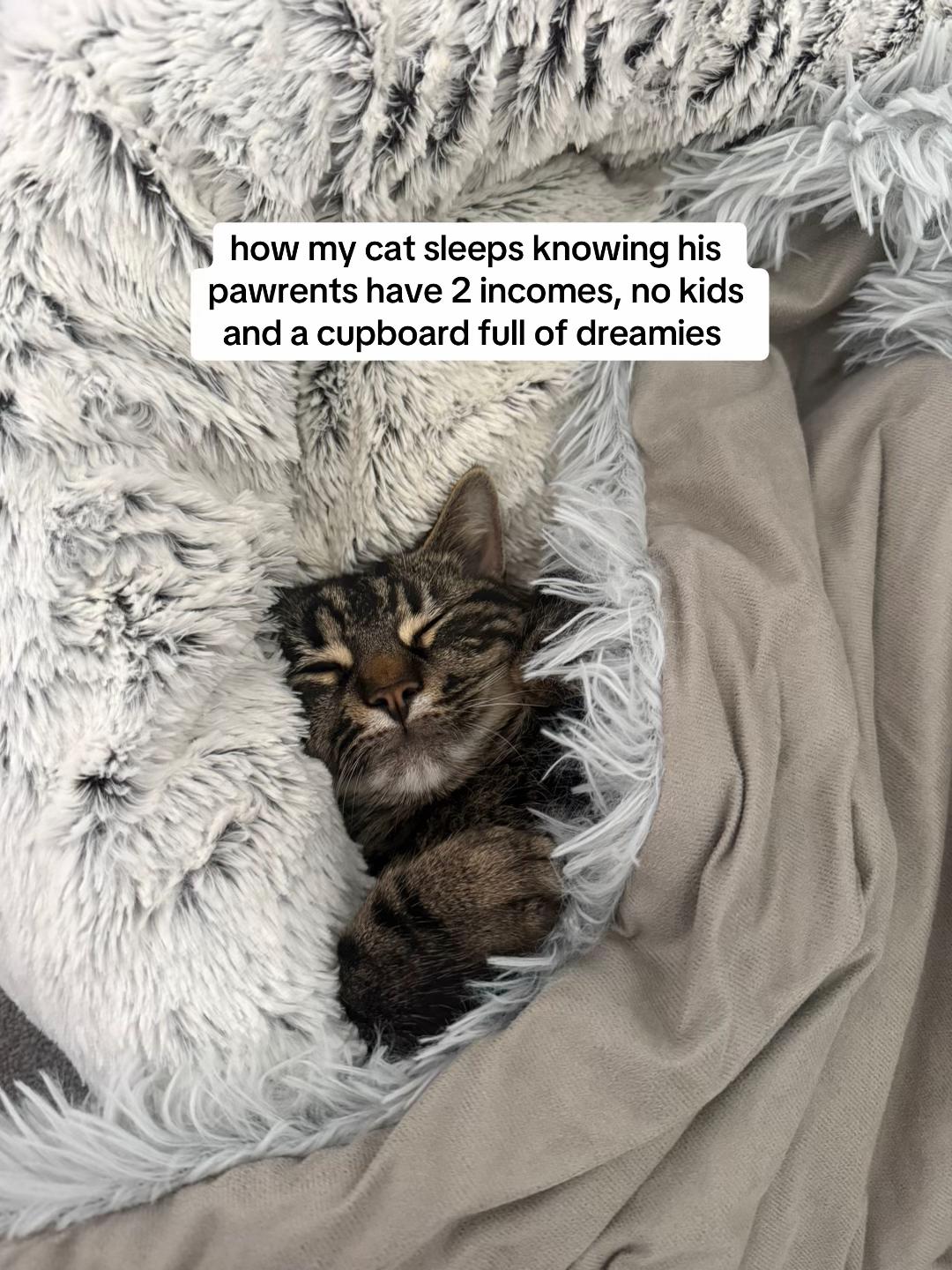 @Simba & Max 🐾