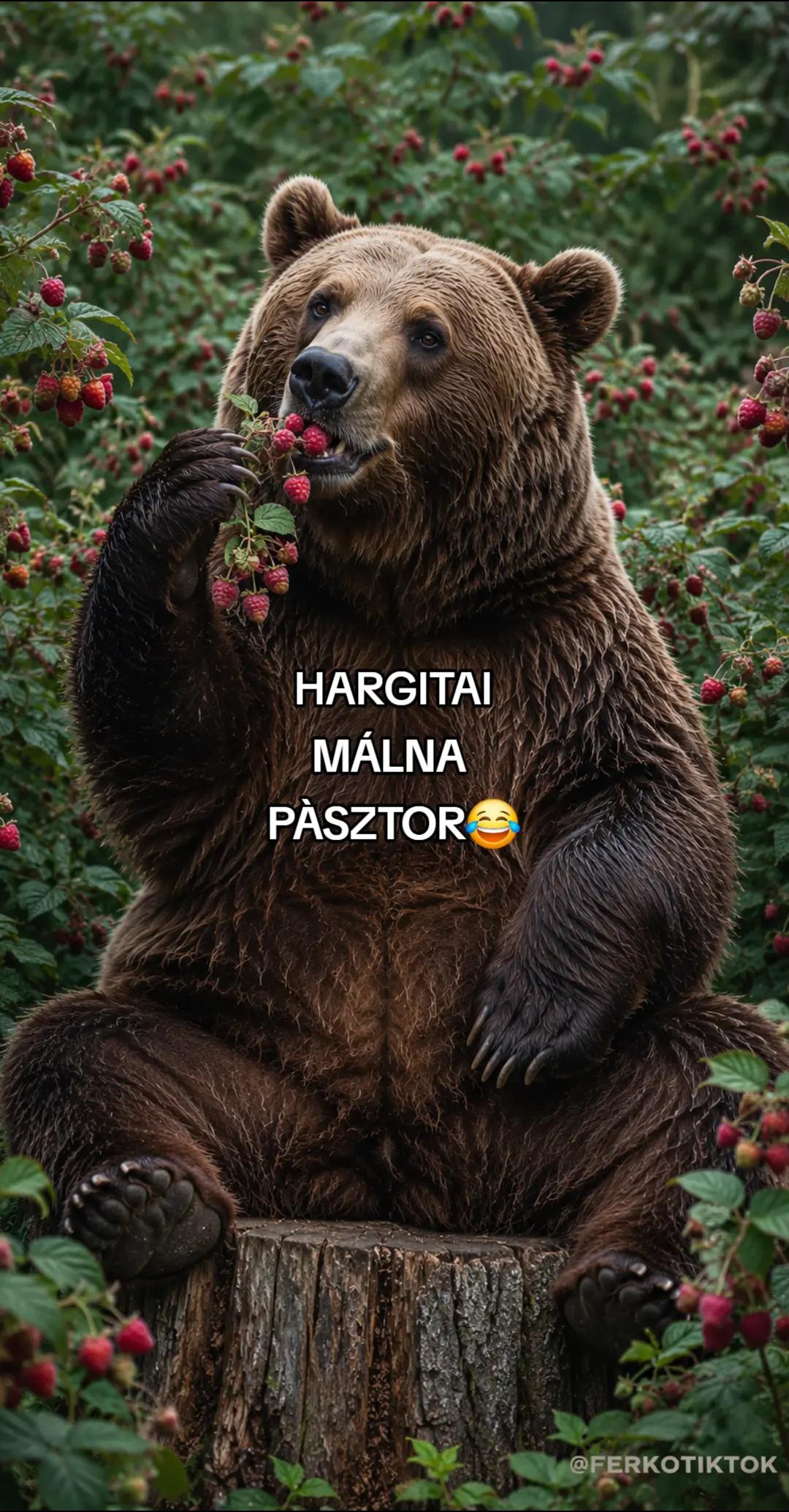 @FERK&Oacute;✔️