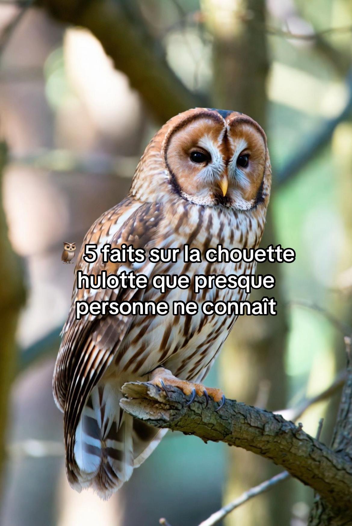 @lachasse_comtoise