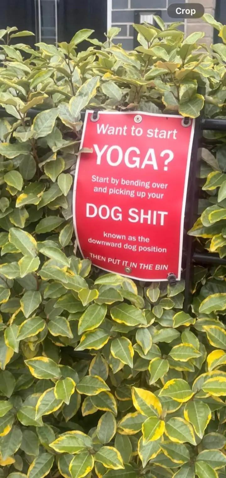 @jo jo x