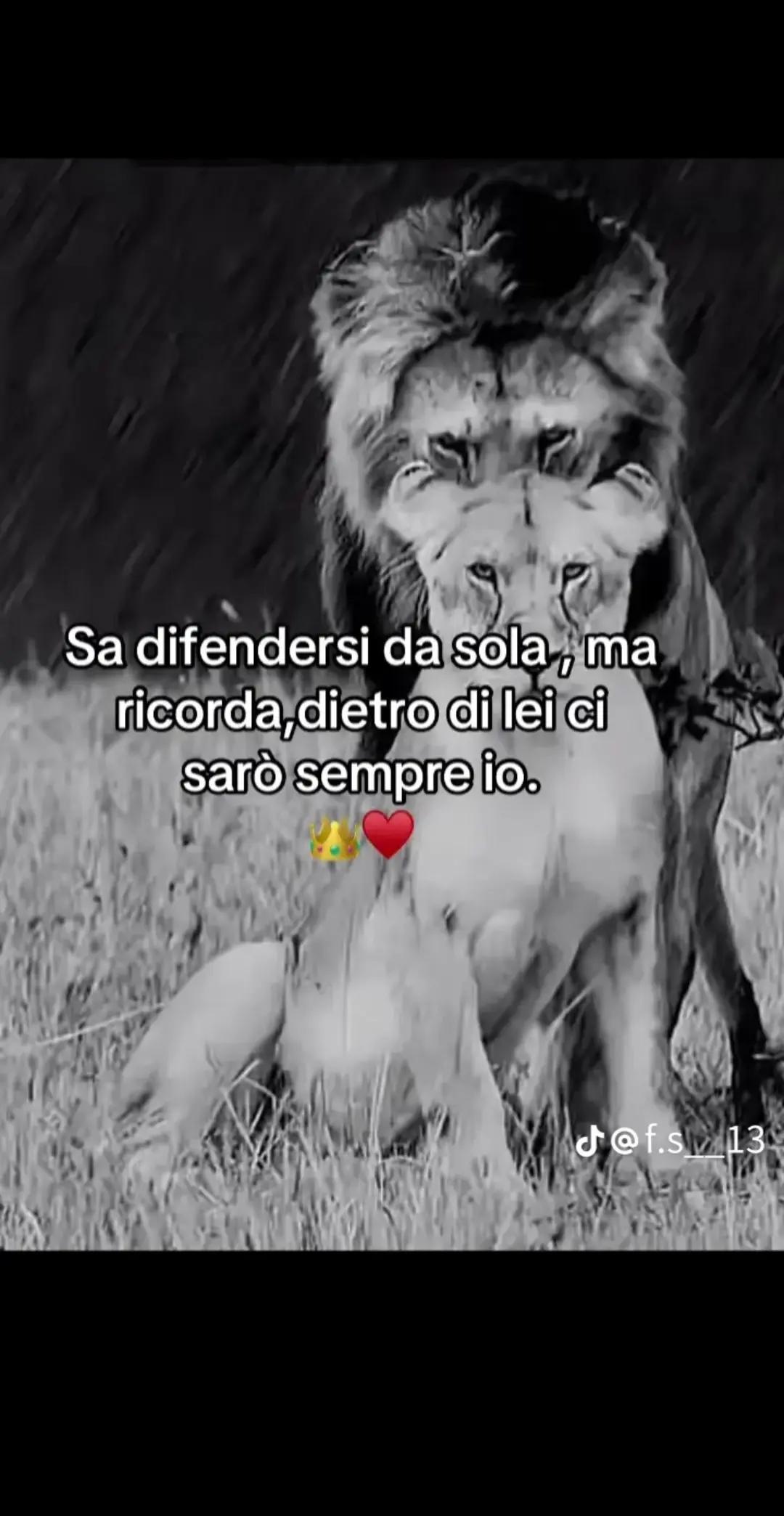 @Enzo Maione