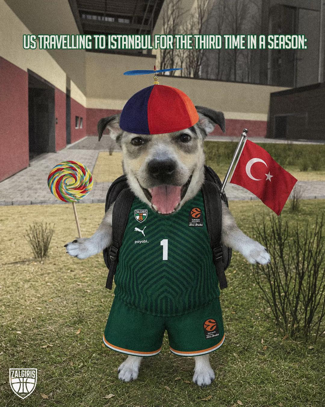 @bczalgiris