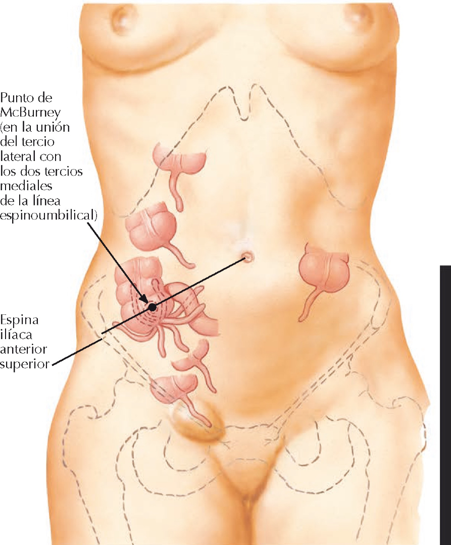 @Pasi&oacute;n por la Anatom&iacute;a