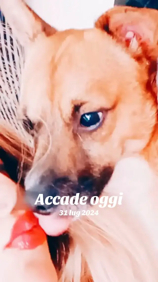 @Topolina😜🔥🖤