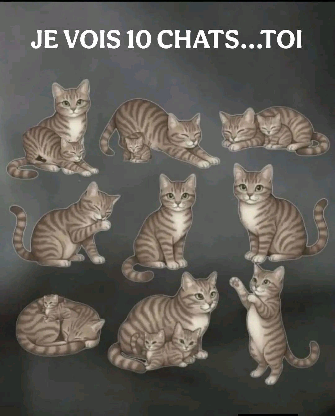 @bernard sarlande