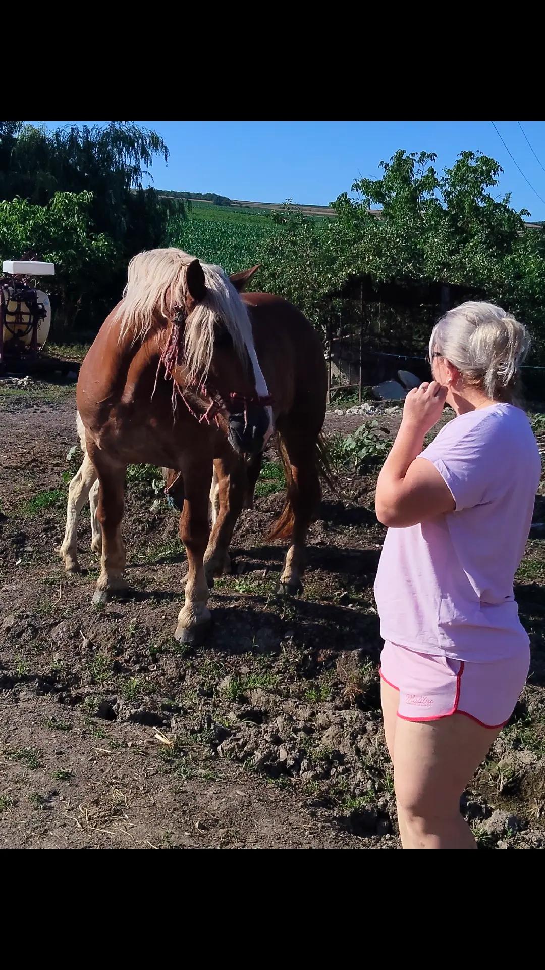 @Bocoș Florina