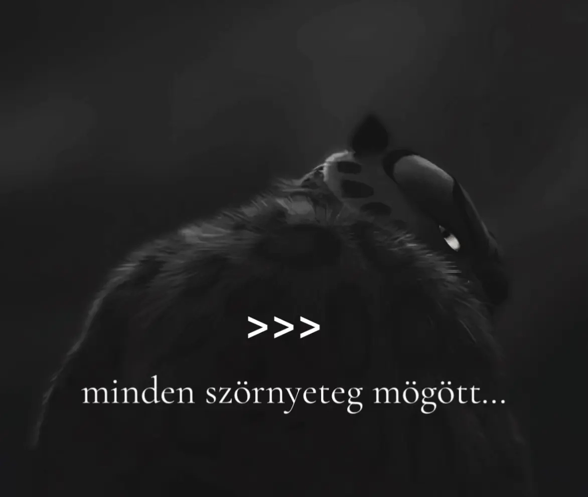 @b.krisztofer12