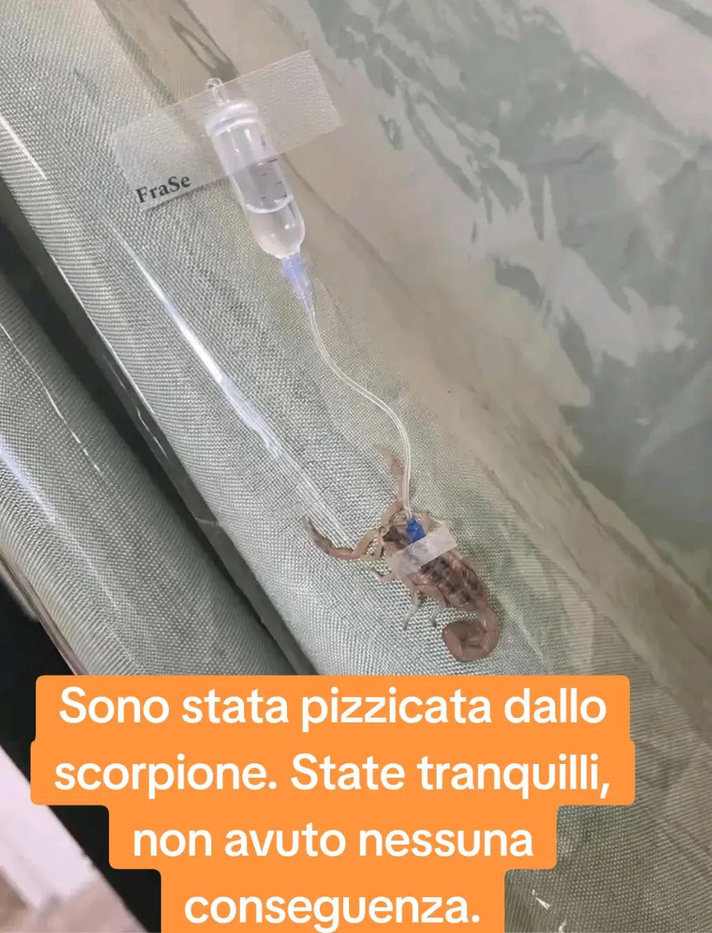 @Donatella Dori
