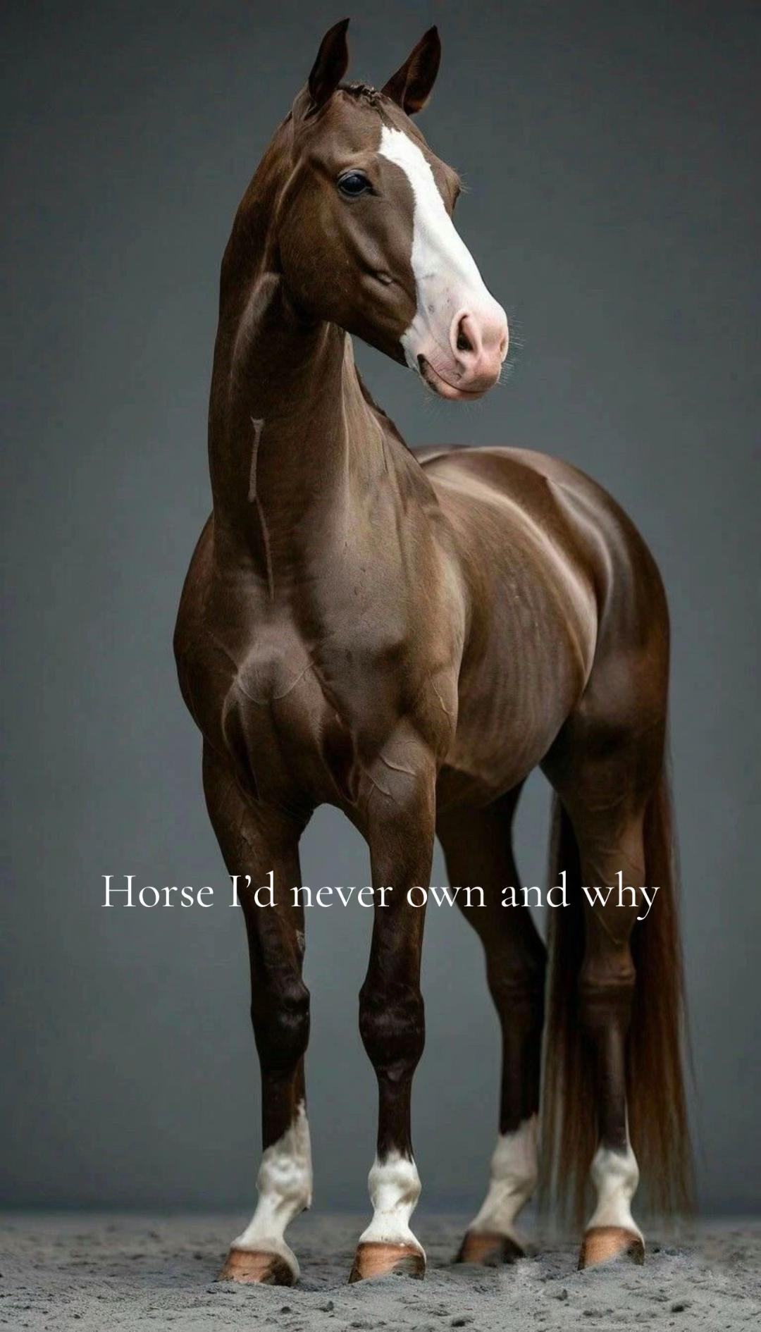@equestrian._comps