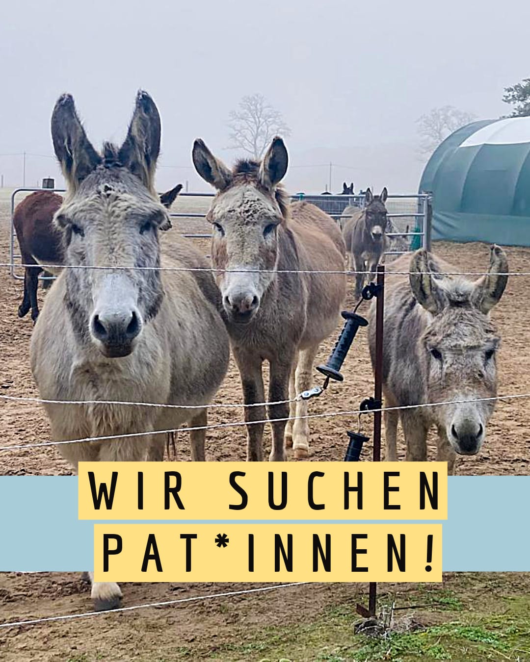 @Eselfreunde im Havelland e.V