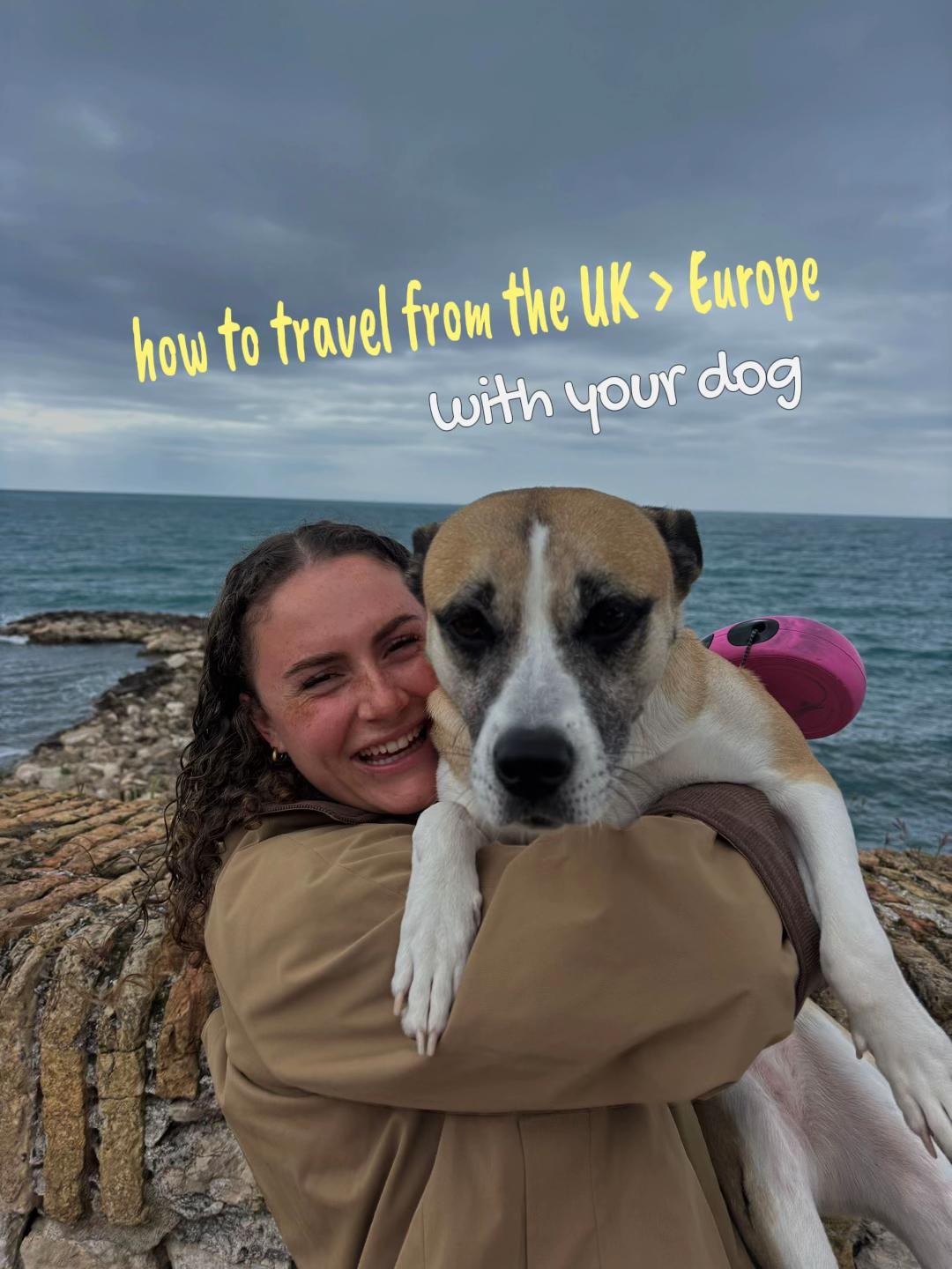 @Moo & Robyn 🐾 | UGC Creator
