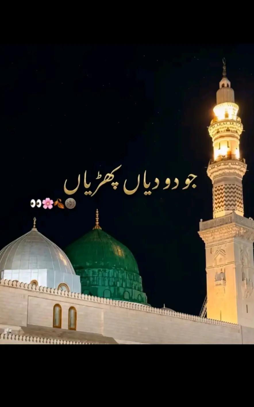 @Saqib Ali001✅⛎