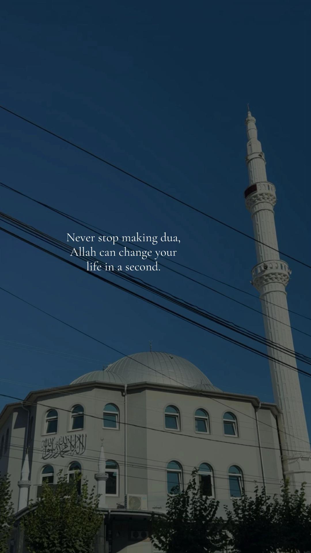 @𝓔𝓵𝓿𝓲𝓻𝓪