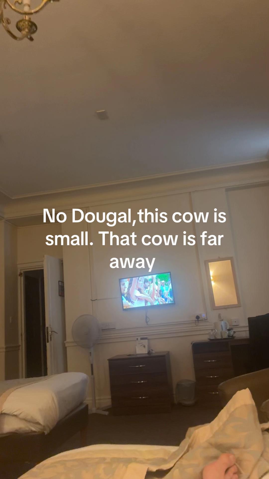 @mikedev