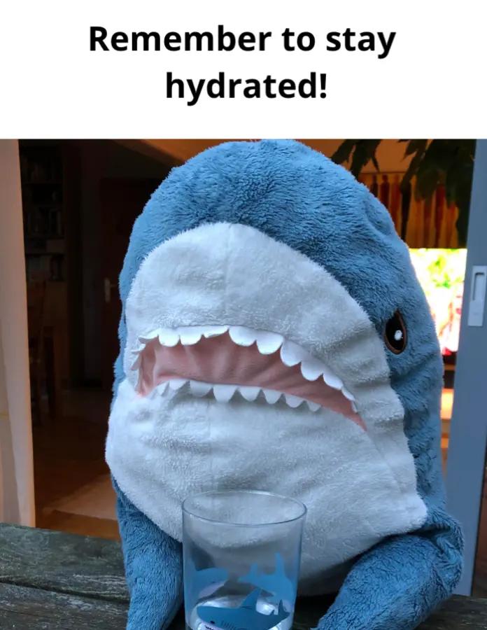 @Willie the Shark <3
