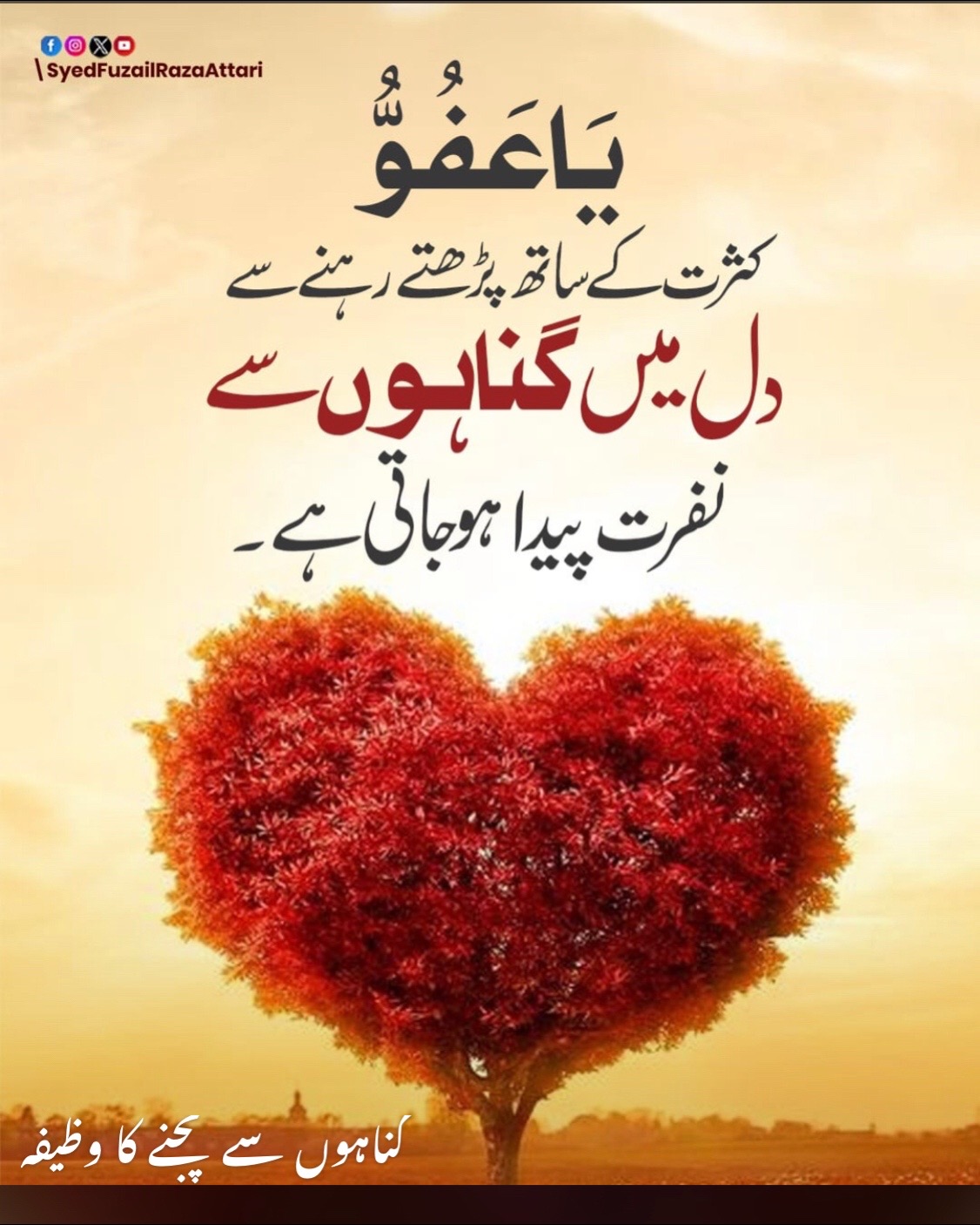 @Respect786_