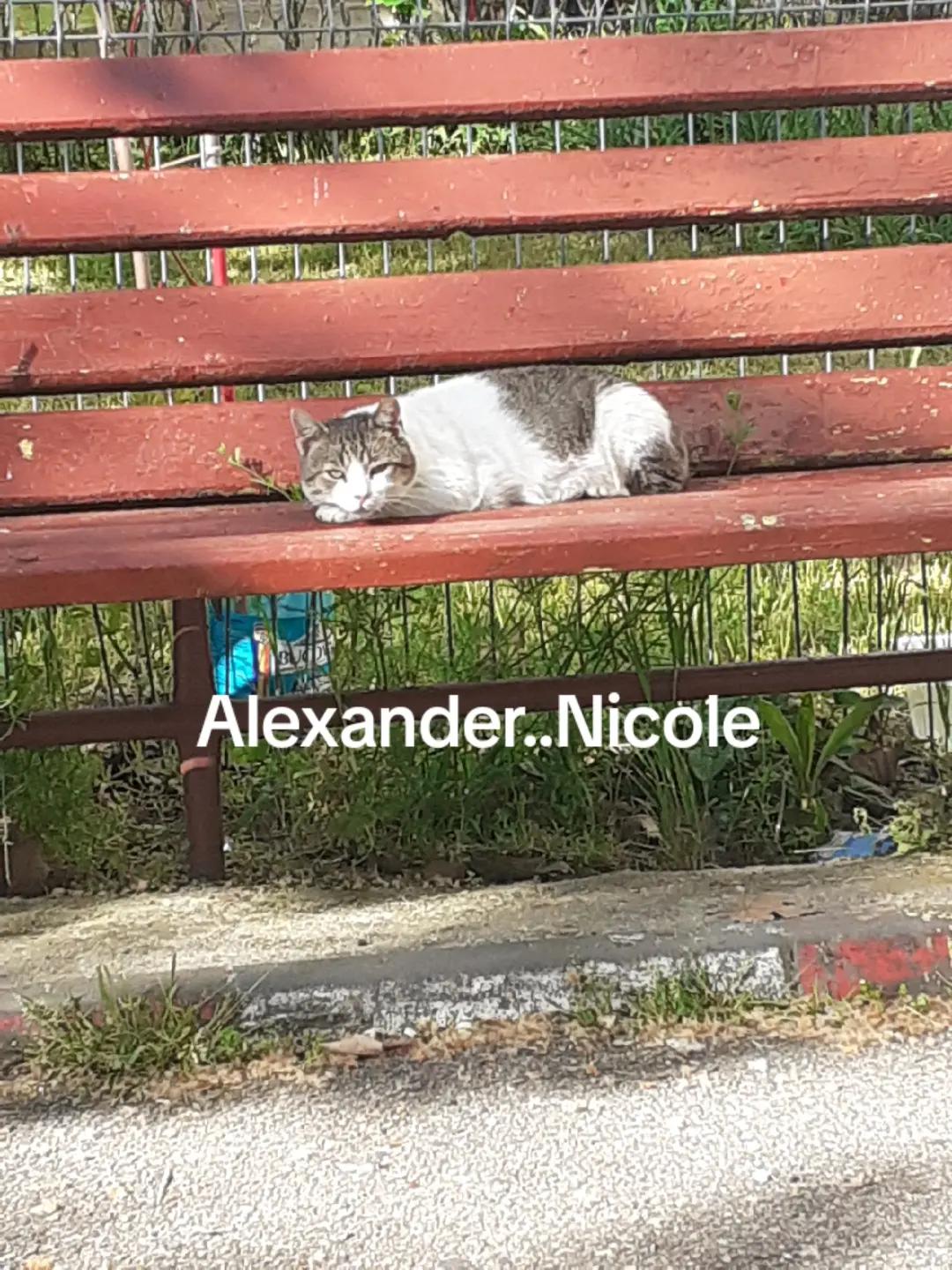 @Alexander..Nicole