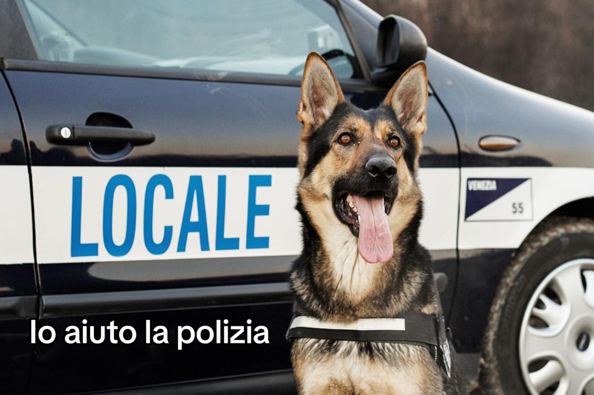 @Chiara Abbate