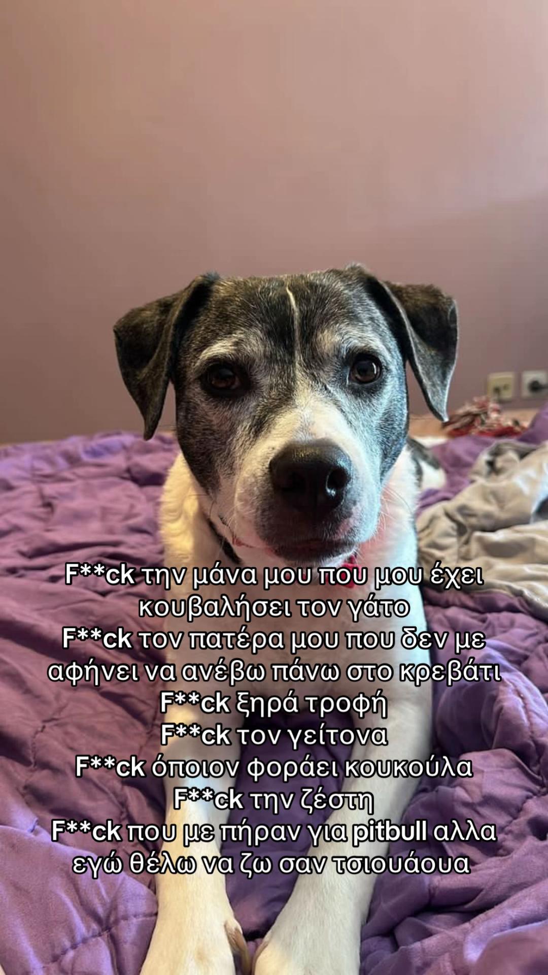 @Μαρίνα Μανδρέκα