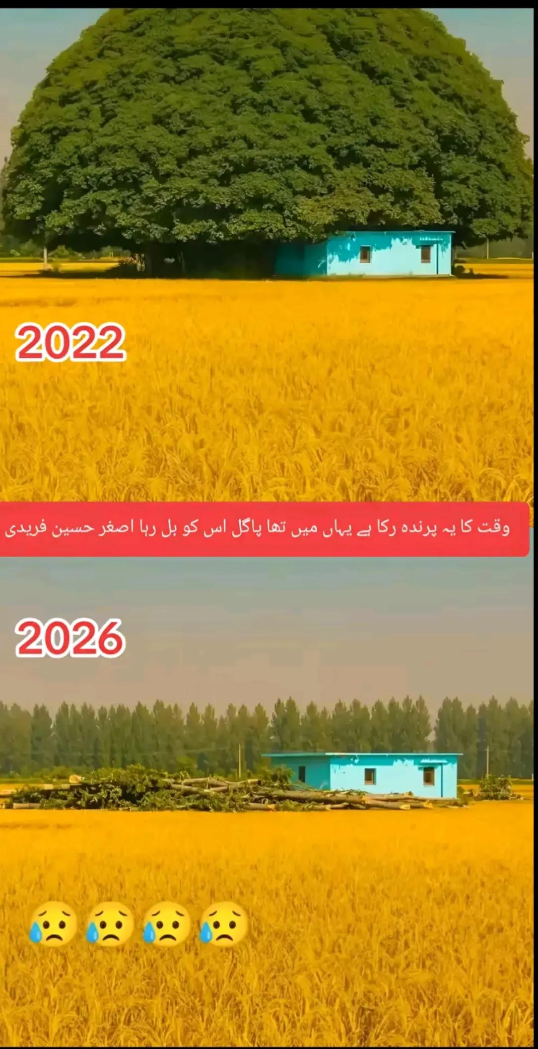@میاں صاحب ❤️❤️