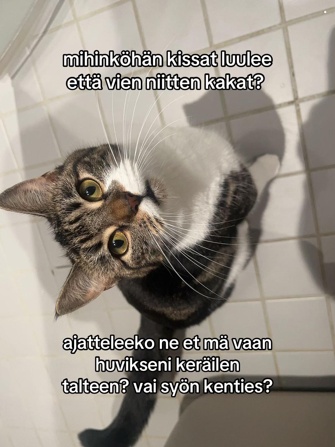 @valtsu:-)