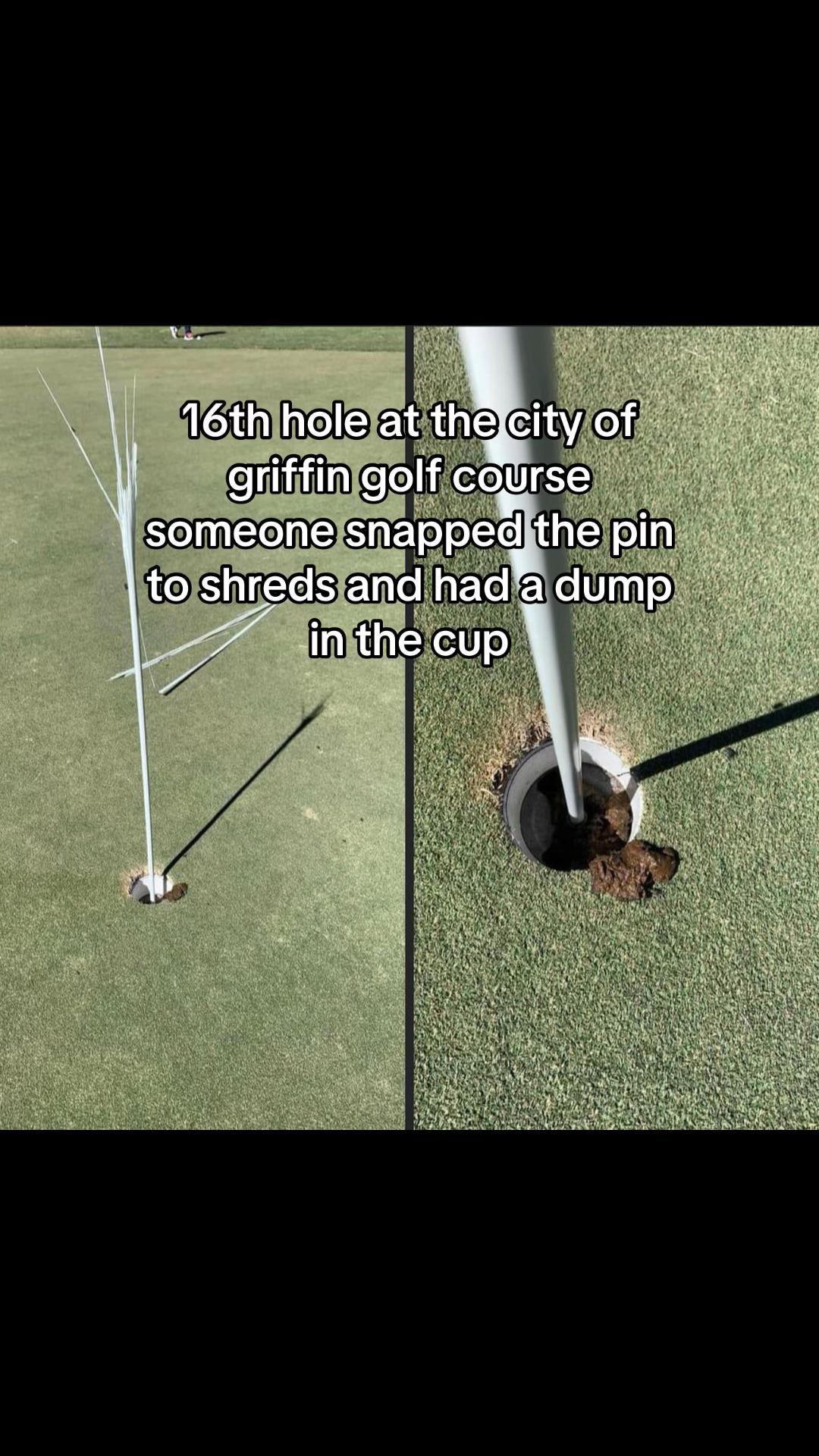 @Littlelinkslegend⛳️