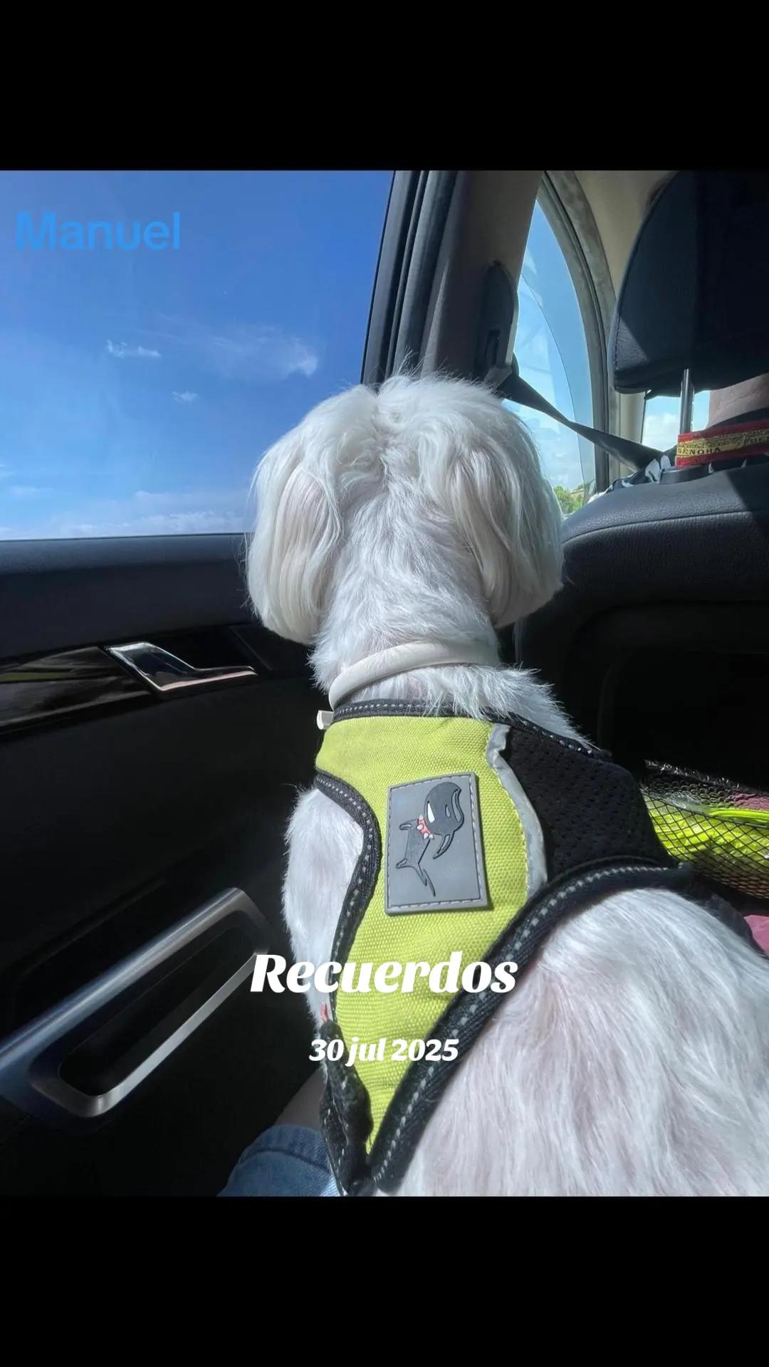 @✝️🇪🇸 MANUEL 🇪🇸✝️
