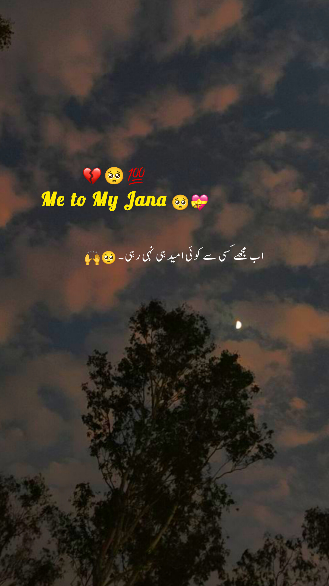 @Cute Potery