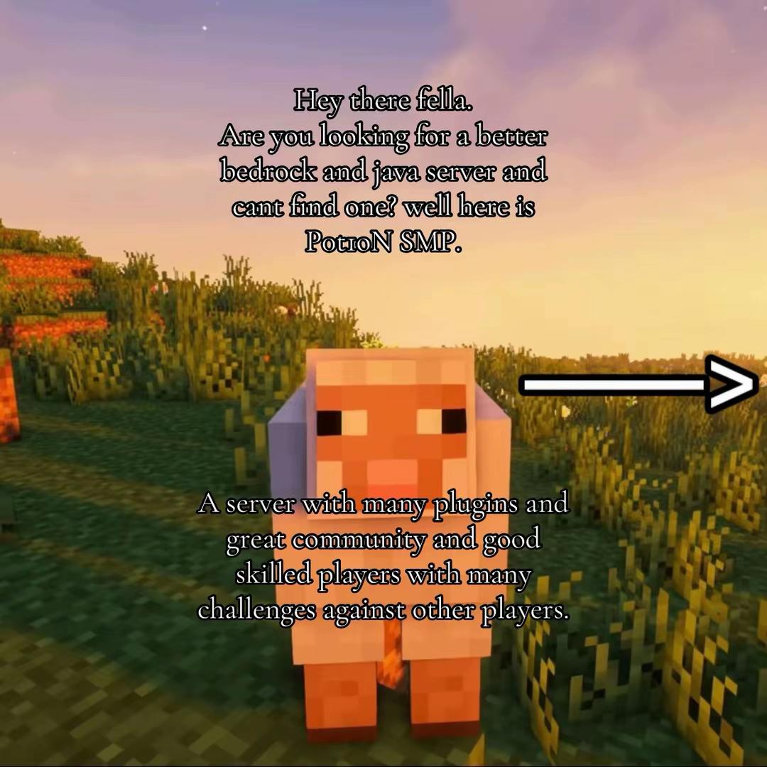 @Potion SMP