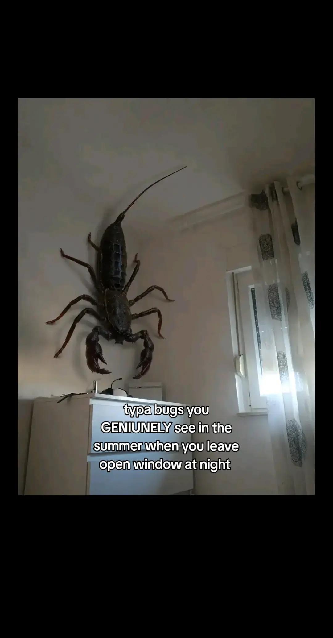 @ඞ
