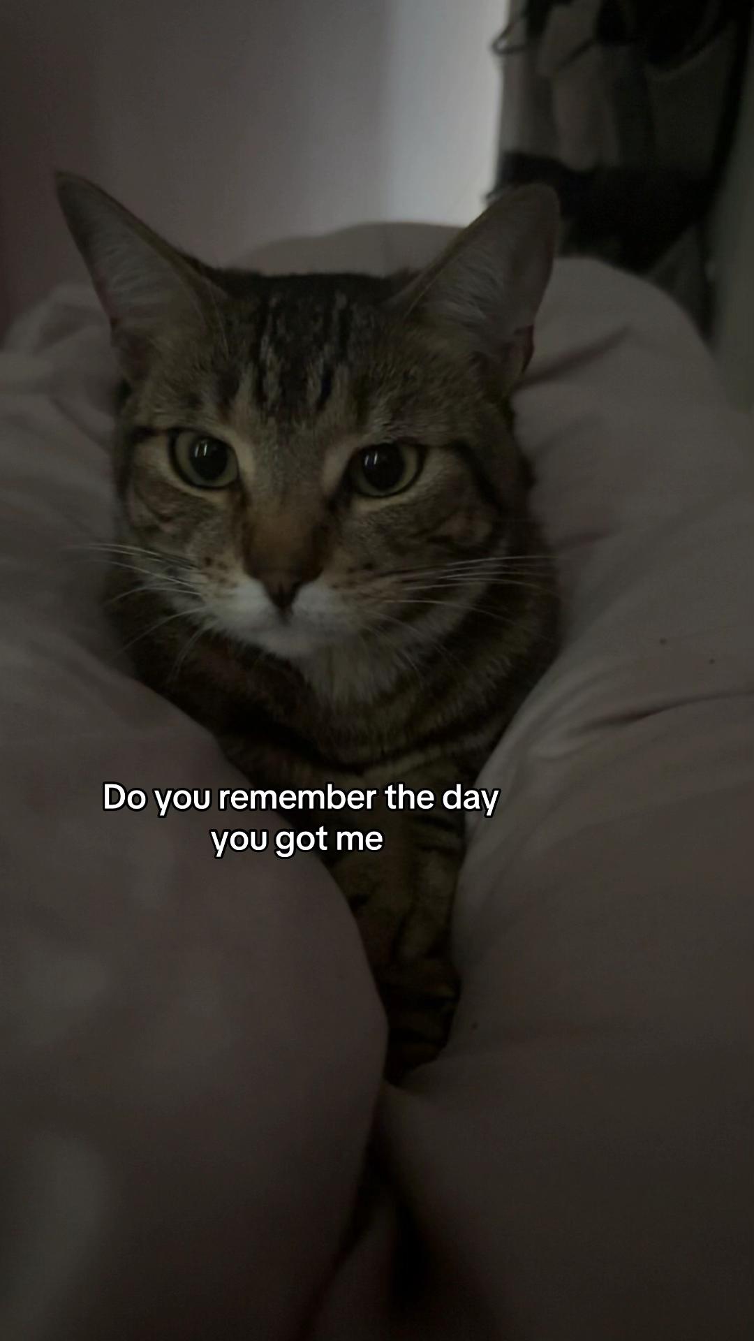 @Shianne