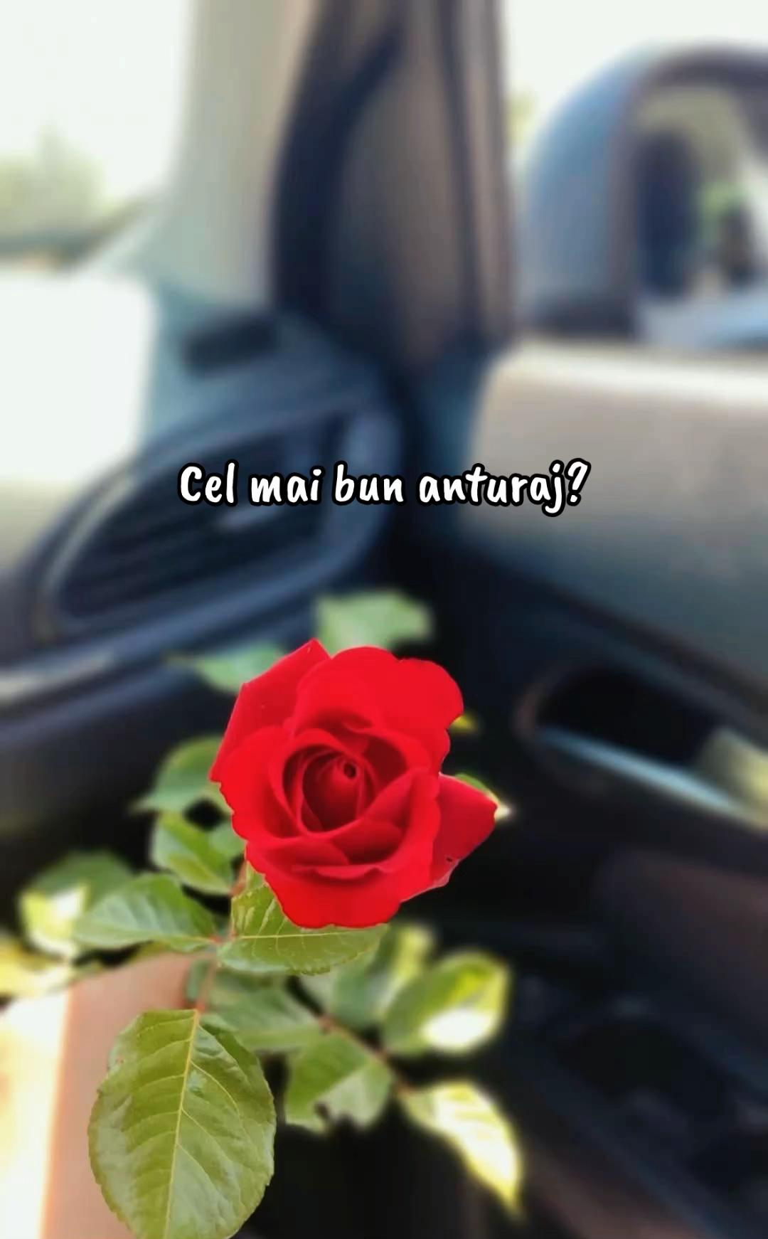@๐๐๐น๐โฏโฏ๐ถ๐ผ๐ง