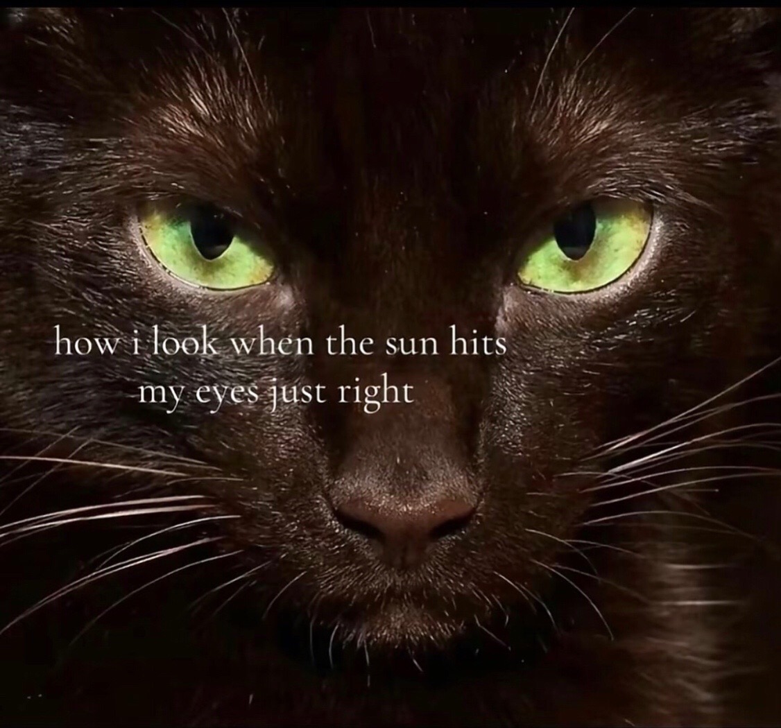 @𝜗𝜚