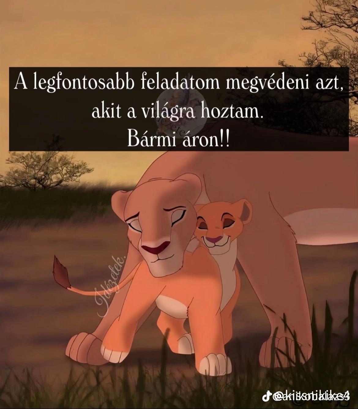 @Bettike Rezmuves