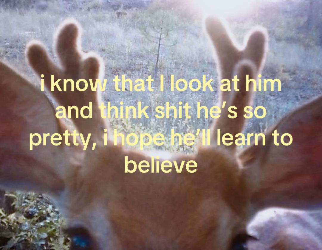 @teal